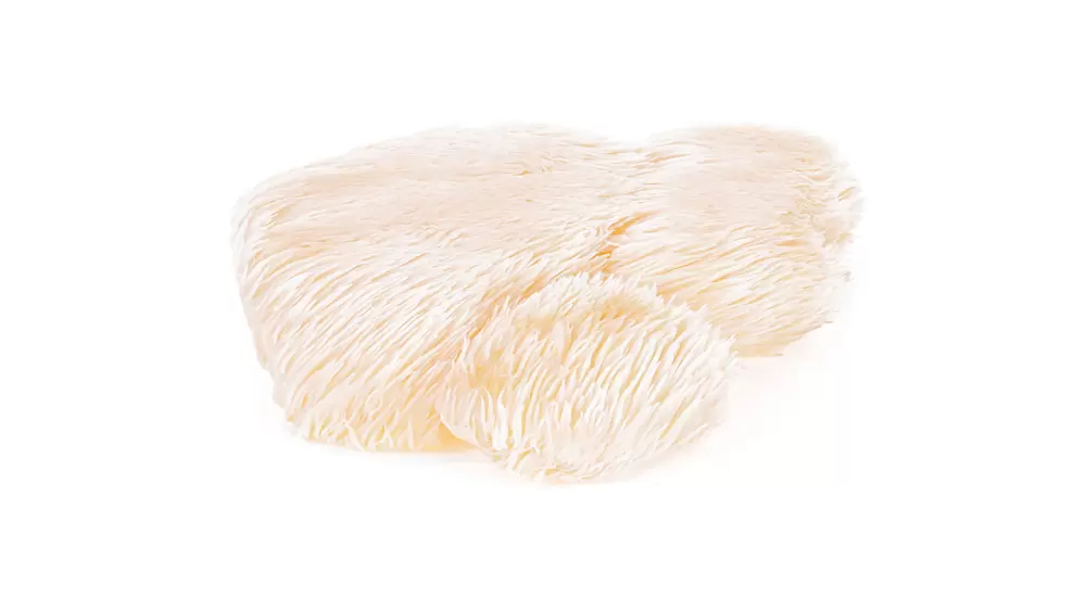 lion's mane mushroom