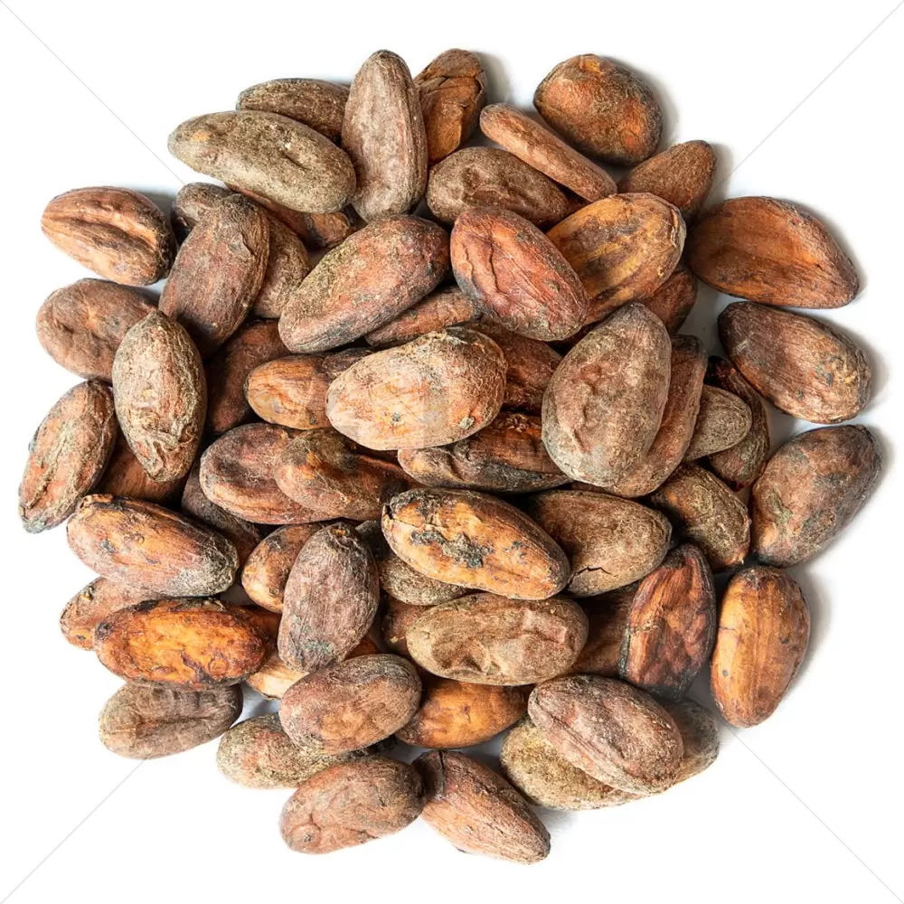 Fèves de cacao crues Bio